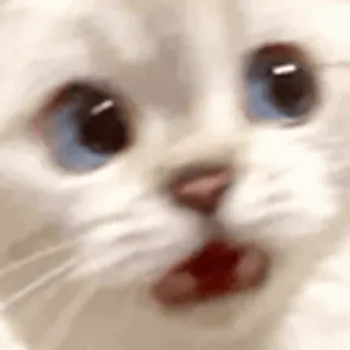 😱