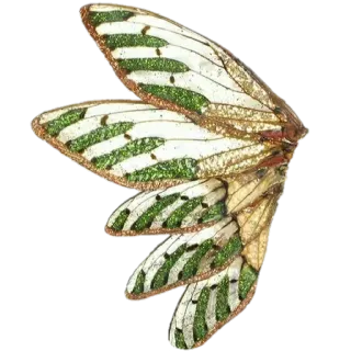 🧚‍♀ 나비 날개, 곤충, 날개, 자연, 동물 telegram sticker