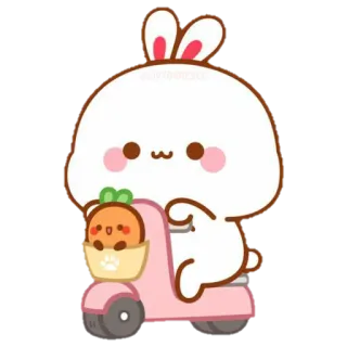 🐰 토끼, 토끼, 스쿠터, 귀여운, 카와이, 동물, 만화 telegram sticker