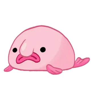 😟 ブロブフィッシュ, 魚, ピンク, かわいい, 海の生き物 telegram sticker