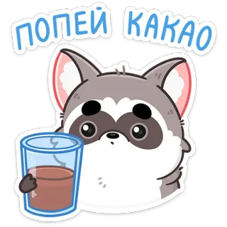 😕 ПОПЕЙ КАКАО szop pracz, słodki, zwierzę, kakao, napój, trunek whatsapp sticker