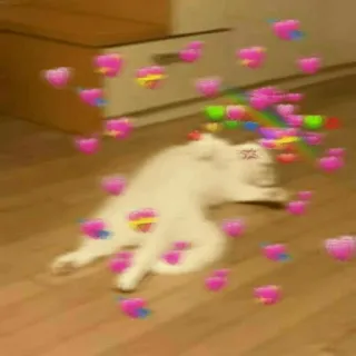 🐱 кот, сердечки, любовь, милый, животное, нежность, питомец telegram sticker