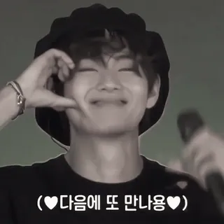 🌟 (다음 에 또 만나요) kpop, アイドル, 歌手, 笑顔, ハート, 手を振る telegram sticker