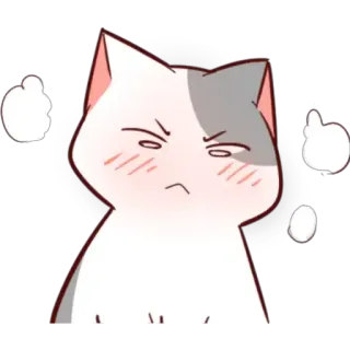 😳 mèo, tức giận, khó chịu, bực bội, dễ thương, hoạt hình, nhãn dán telegram sticker