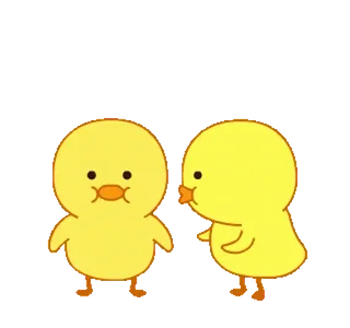 🐥 fofo, pato, animais, pássaros, amarelo telegram sticker