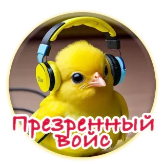 😤 Презренный войс птица, наушники, музыка, милый, желтый, слушает, птичий telegram sticker