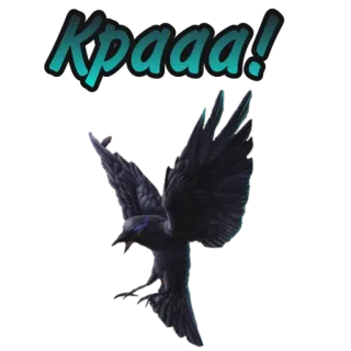 Путь Валькирии @romanceclub4bobby whatsapp stickers