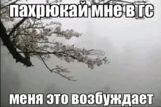 Больше стиков тут: @stikery4 whatsapp stickers