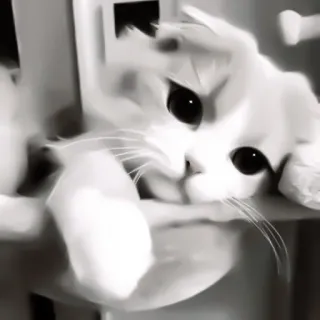 ♻️ gato, lindo, blanco, animal, doméstico, gatito, mascota telegram sticker