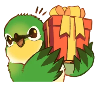 🎪 oiseau, perroquet, cadeau, présent, animal, mignon, vert, conure whatsapp sticker