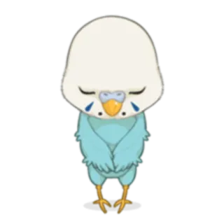 😌 волнистый попугай, птица, животное, милый, птичий, питомец, попугай telegram sticker