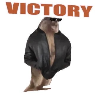 😎 VICTORY seal, animal, sunglasses, victory, text, jacket, funny, meme telegram sticker