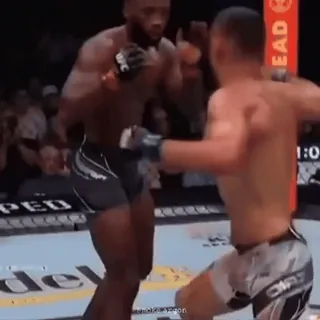 👊 kampf, mma, boxen, ufc, kampfsport telegram sticker