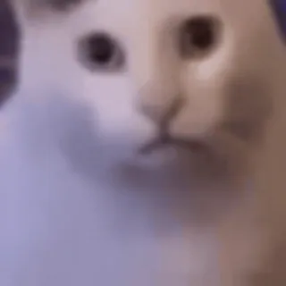 😯