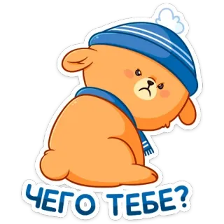 😡 ЧЕГО ТЕБЕ? 熊, 生气, 帽子, 冬天, 贴纸, 俄语 telegram sticker