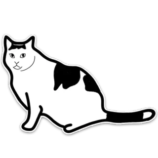 👀 gato, animal, blanco y negro, pegatina, mascota telegram sticker
