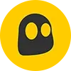 🟡