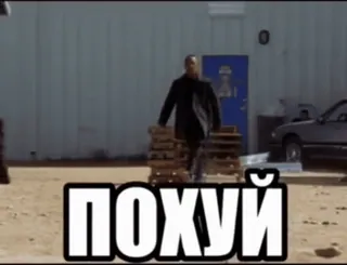 🌟 ПОХУЙ russian, meme, phrase, attitude, ignorance whatsapp sticker