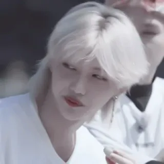 🕷 Felix kpop, idol, cantor, stray kids, felix, celebridade telegram sticker