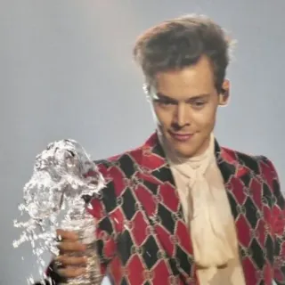 🌸 Harry Styles Harry Styles, chanteur, célébrité, artiste, interprète telegram sticker