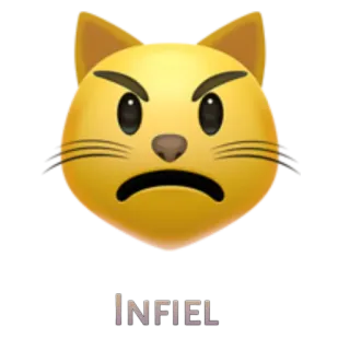 😾 INFIEL gatto, emoji, infedele, arrabbiato, tradimento, tradimento telegram sticker