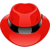 🎩
