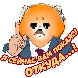 🇧🇾 Я СЕЙЧАС ВАМ ПОКАЖУ ОТКУДА...! собака, усы, политик, смешной, мультфильм, раздраженный telegram sticker