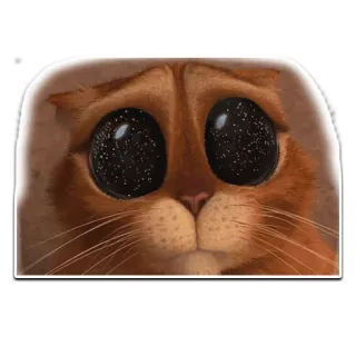 😱 Puss in Boots Katze, niedlich, Augen, große Augen, Gestiefelter Kater whatsapp sticker