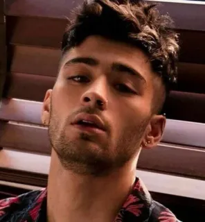 👑 Zayn Malik Promi, Sänger, Popstar, Mann, Porträt, One Direction, Zayn telegram sticker