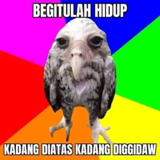 🦉 Sad Bird BEGITULAH HIDUP KADANG DIATAS KADANG DIGGIDAW telegram sticker