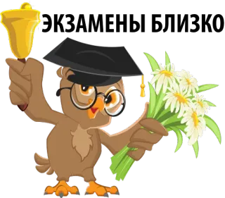 😡 coruja, formatura, educação, sino, flores, desenho animado whatsapp sticker