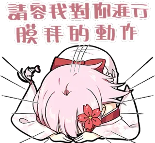😓 請容我對您進行膜拜的動作 animé, dessin animé, inclinaison, cheveux roses, texte chinois, vénération whatsapp sticker