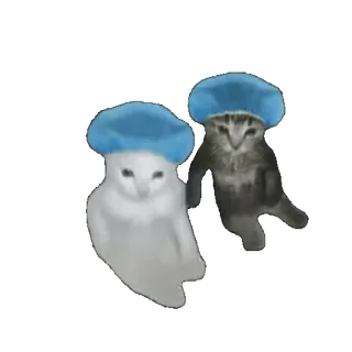 🫥 cats telegram sticker