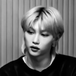 🌟 Felix k-pop, айдол, певец, портрет, черно-белое telegram sticker