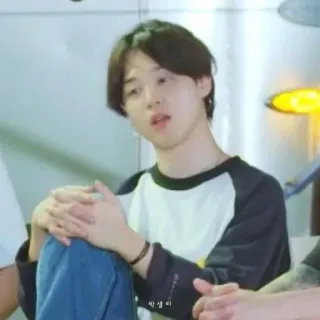 🐚 whatsapp sticker