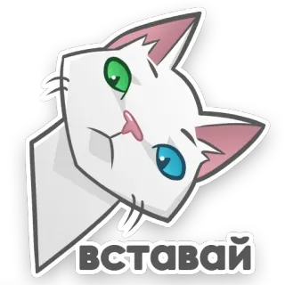АйсКот whatsapp stickers
