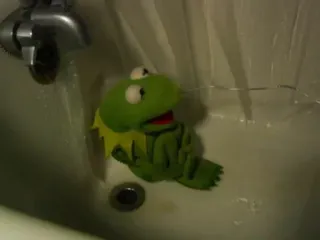 🛀 Kermit Kermit, Muppet, frog, puppet, bath telegram sticker