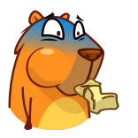 Jonny Сapybara whatsapp stickers