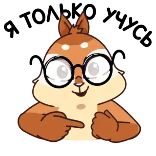 🤓 wiewiórka, zwierzę, kreskówka, okulary, słodki, śmieszny telegram sticker