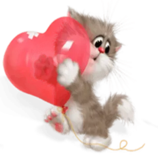 ❤️ gatto, cuore, animale, carino, cartone animato, amore telegram sticker