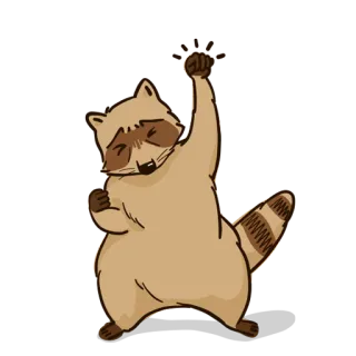 💪 Waschbär, Tier, Feier, Erfolg, niedlich, Cartoon telegram sticker
