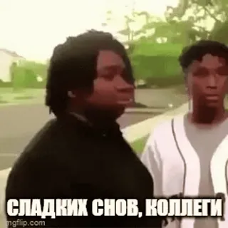 🛏 СЛАДКИХ СНОВ, КОЛЛЕГИ Meme, Tidur, Selamat malam, Rekan kerja, Mimpi indah whatsapp sticker