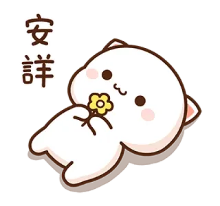 🙂 安 祥 niedlich, Katze, Blume, Cartoon, weiß telegram sticker