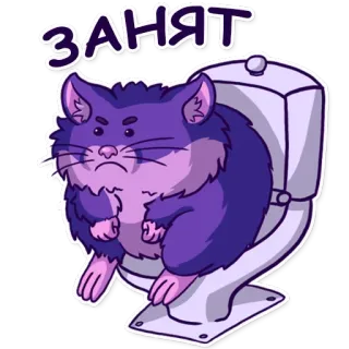 ⛔ ЗАНЯТ кот, туалет, занято, ванная, животное, смешной telegram sticker