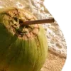 🥥