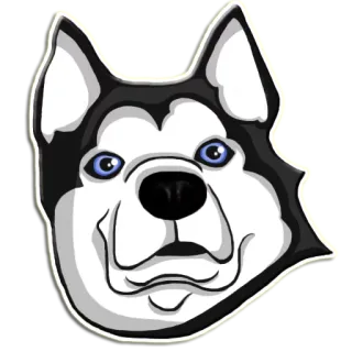 😱 cachorro, husky, animal, animal de estimação, adesivo, fofo telegram sticker