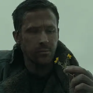 🌻 Blade Runner 2049 Ryan Gosling, Blade Runner, ciencia ficción, película, flores, actor whatsapp sticker