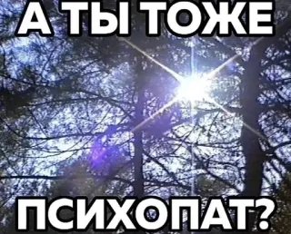 🌟 А ты тоже ПСИХОПАТ? 나무, 햇빛, 사이코패스, 질문, 러시아어 whatsapp sticker