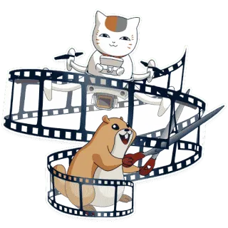 😬 gato, castor, filme, edição, drone, tesoura whatsapp sticker
