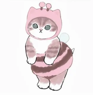 🌼 kot, kociak, pszczoła, zwierzę, słodki, kreskówka, kawaii, naklejka telegram sticker